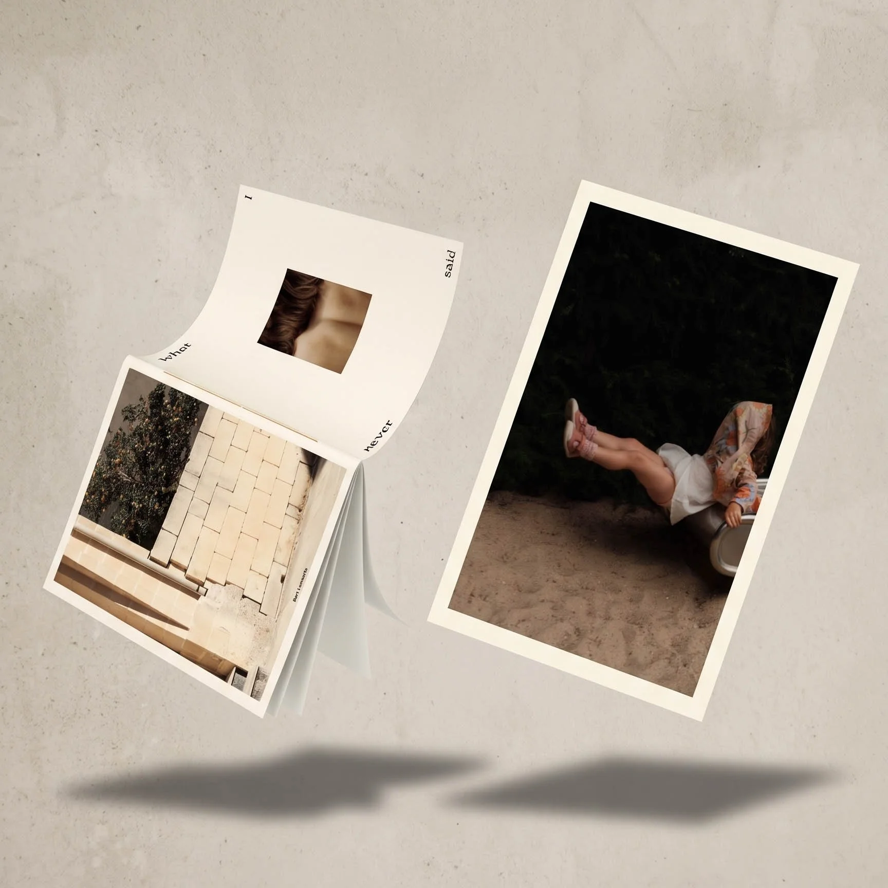 The 'What I Never Said' Collector’s Set