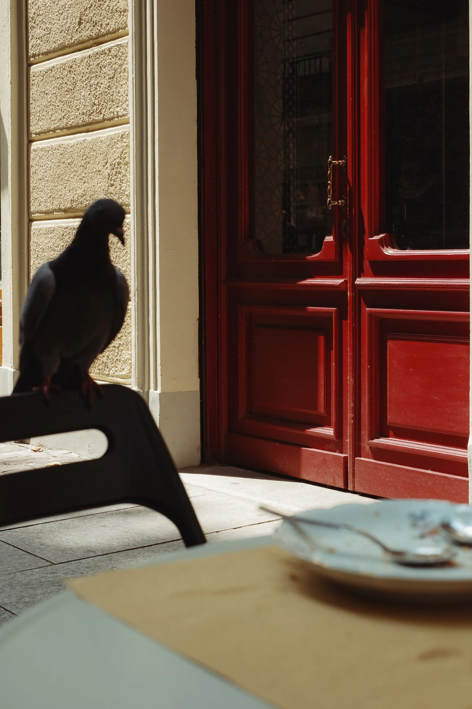 Bart Lenaerts - Stille gast.jpg