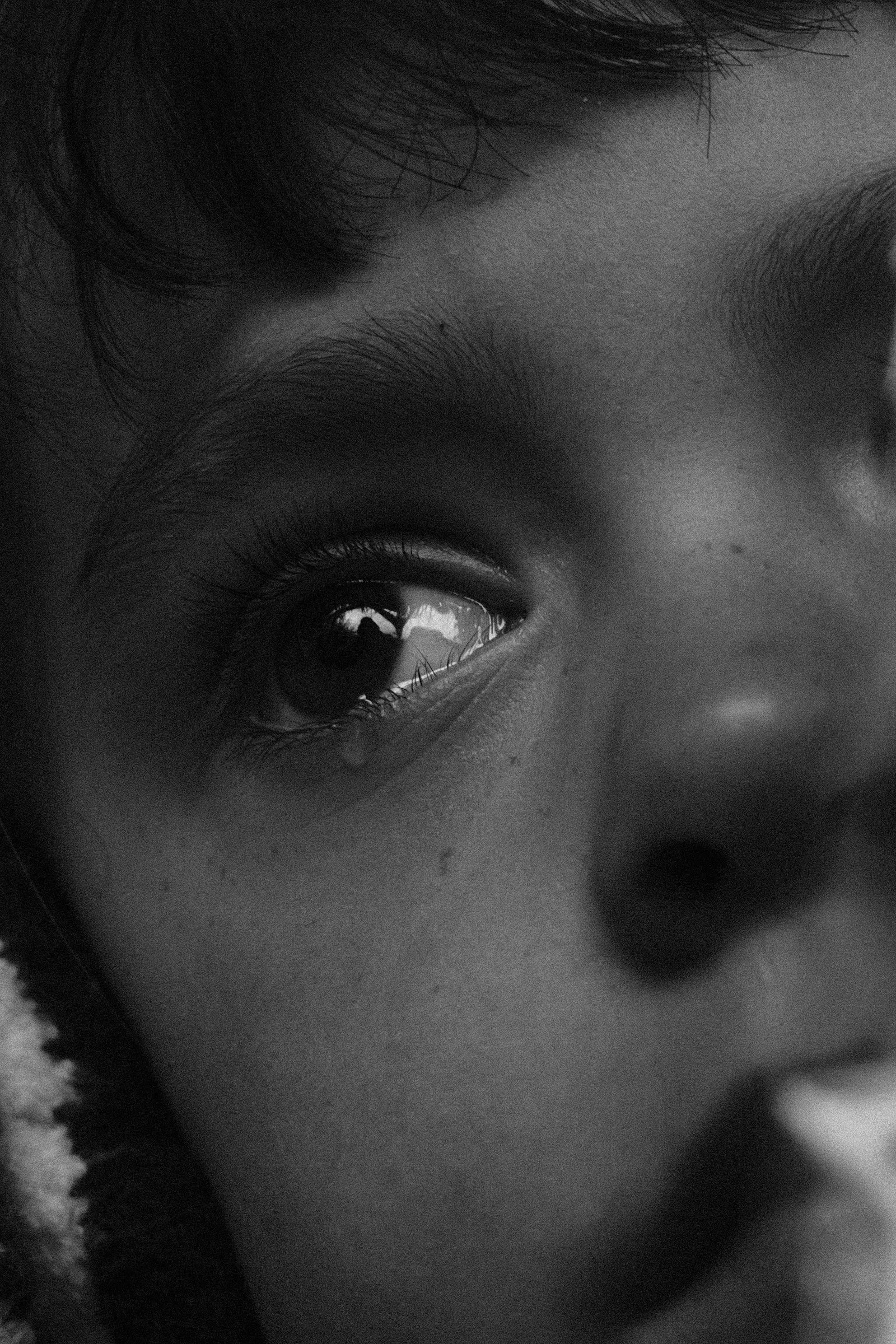 Bart Lenaerts - Traan.jpg