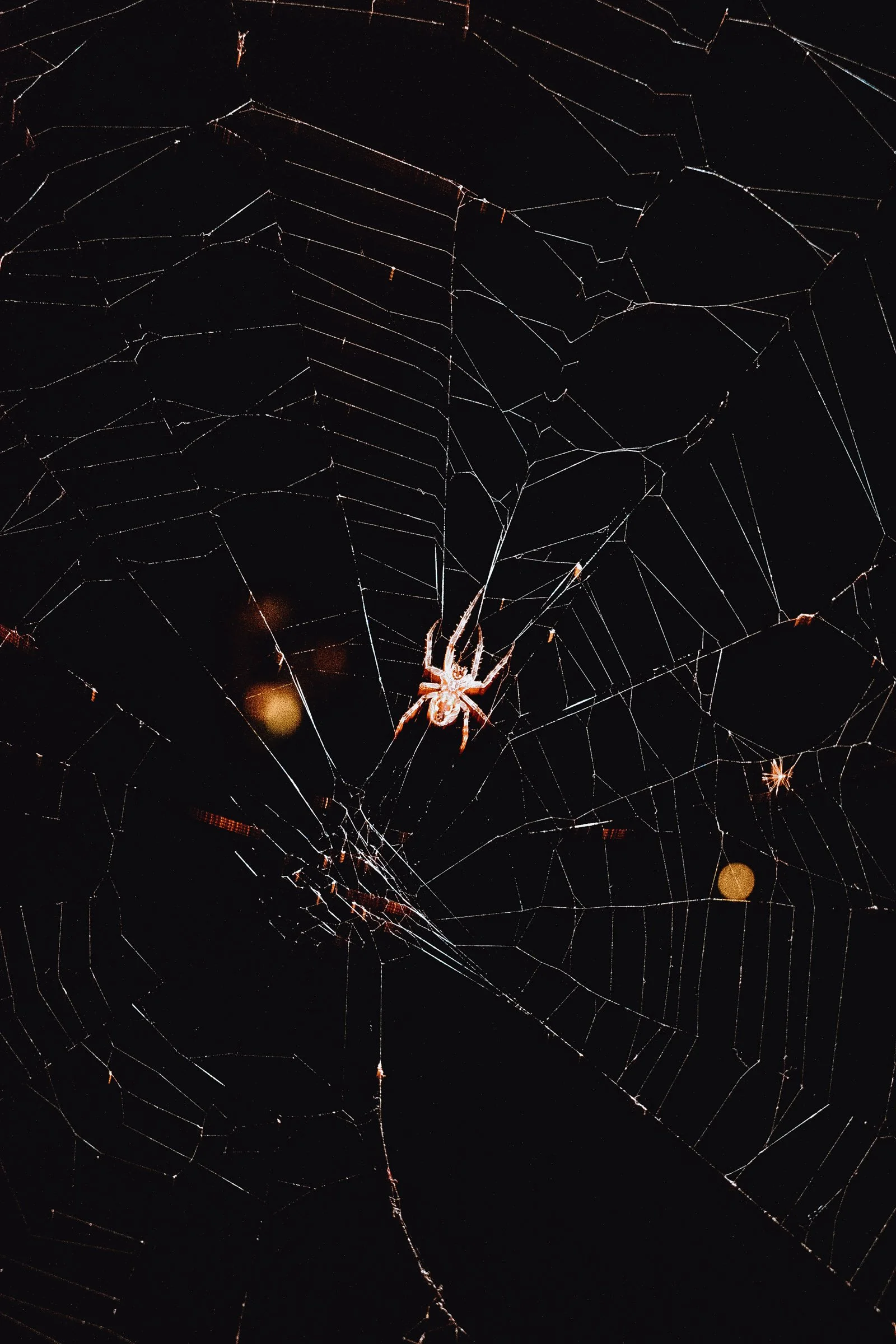 Delicaat Meesterwerk