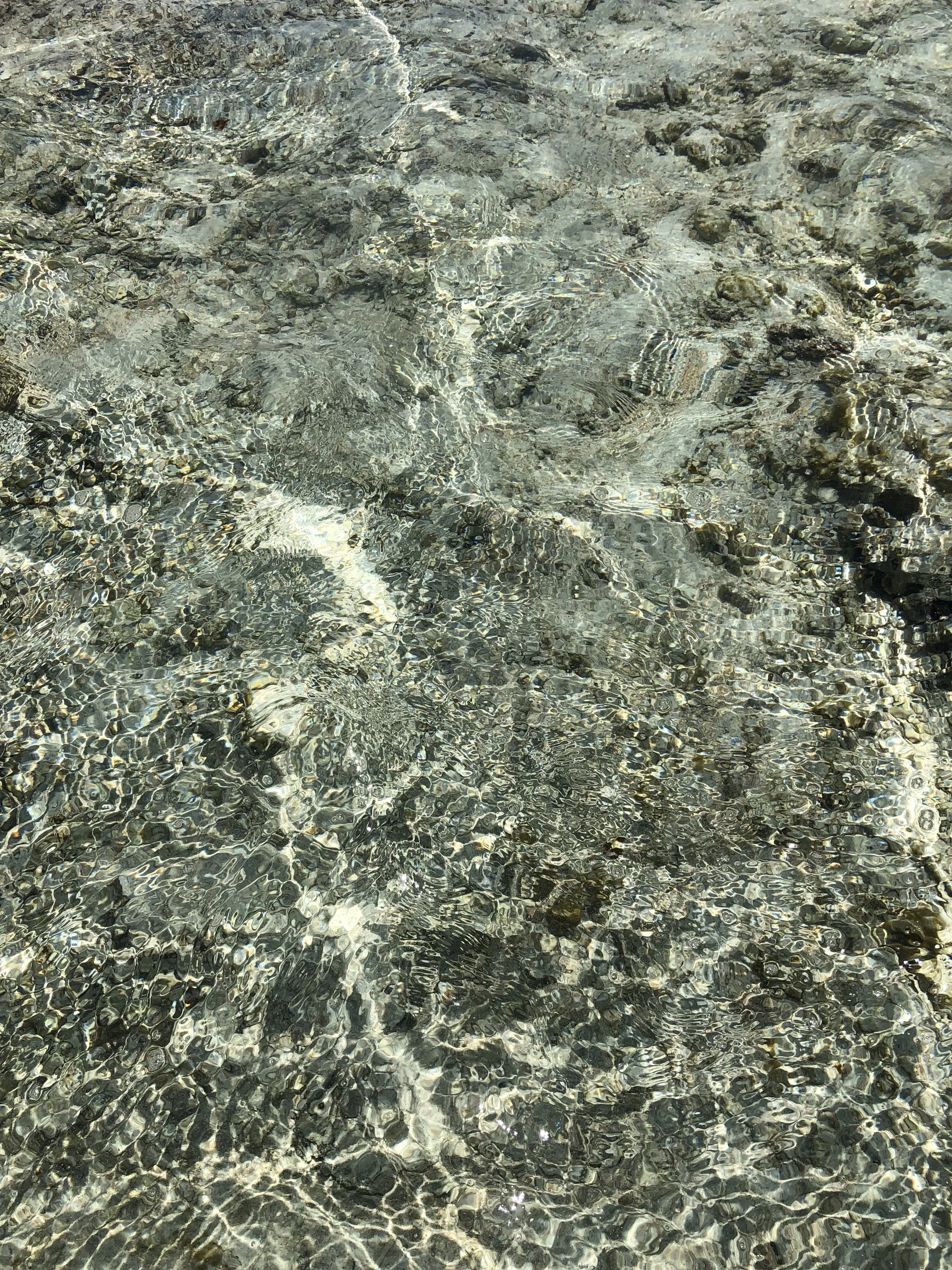 Clear shallow water with visible rocks and pebbles at the bottom, sunlight creating ripples and reflections.