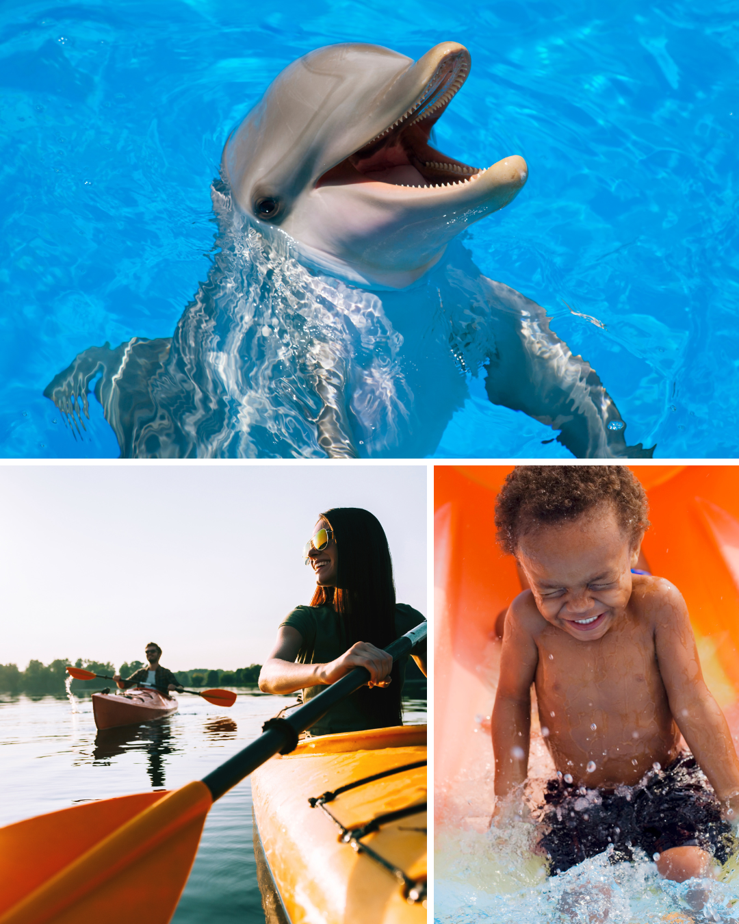 A dolphin in a swimming pool, a woman kayaking on a lake, and a child sliding down a water slide.