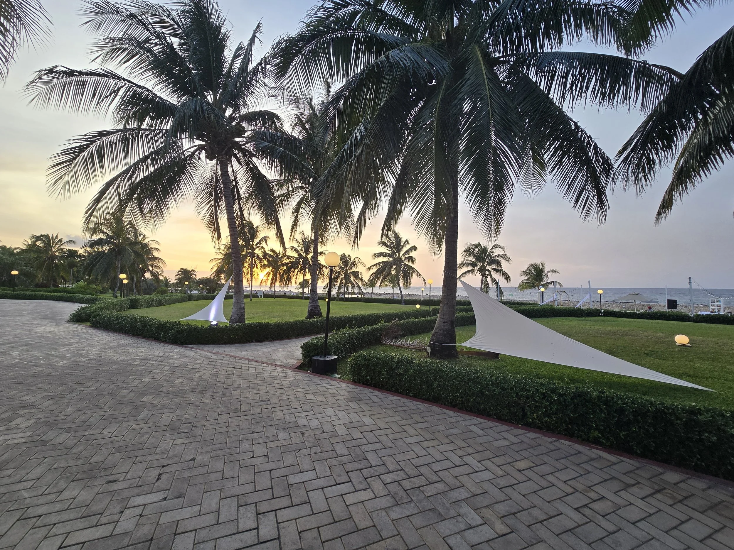 A scenic view of a tropical beachside park during sunset, with palm trees, neatly trimmed bushes, paved walkways, and decorative white shade structures.