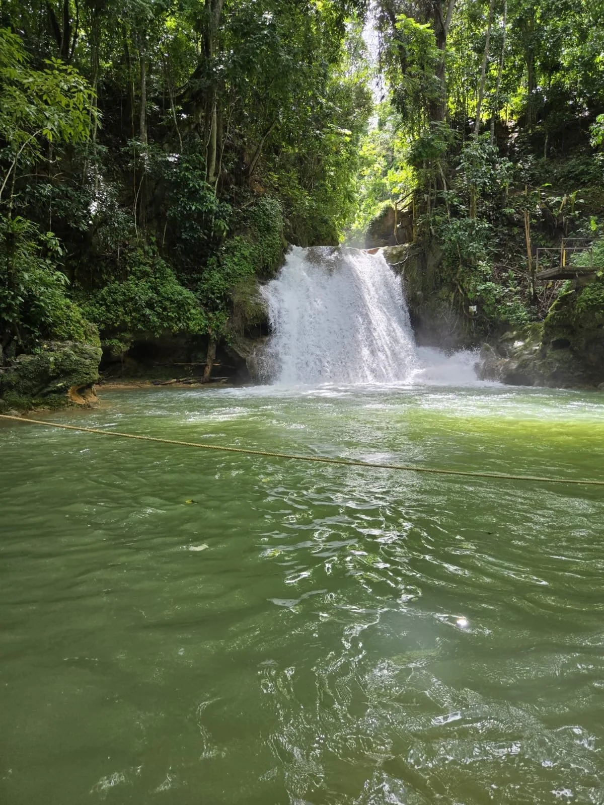 A waterfall cascading into a green river surrounded by lush trees and dense forest.