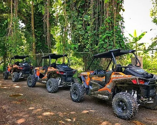 local Jamaican transport provider