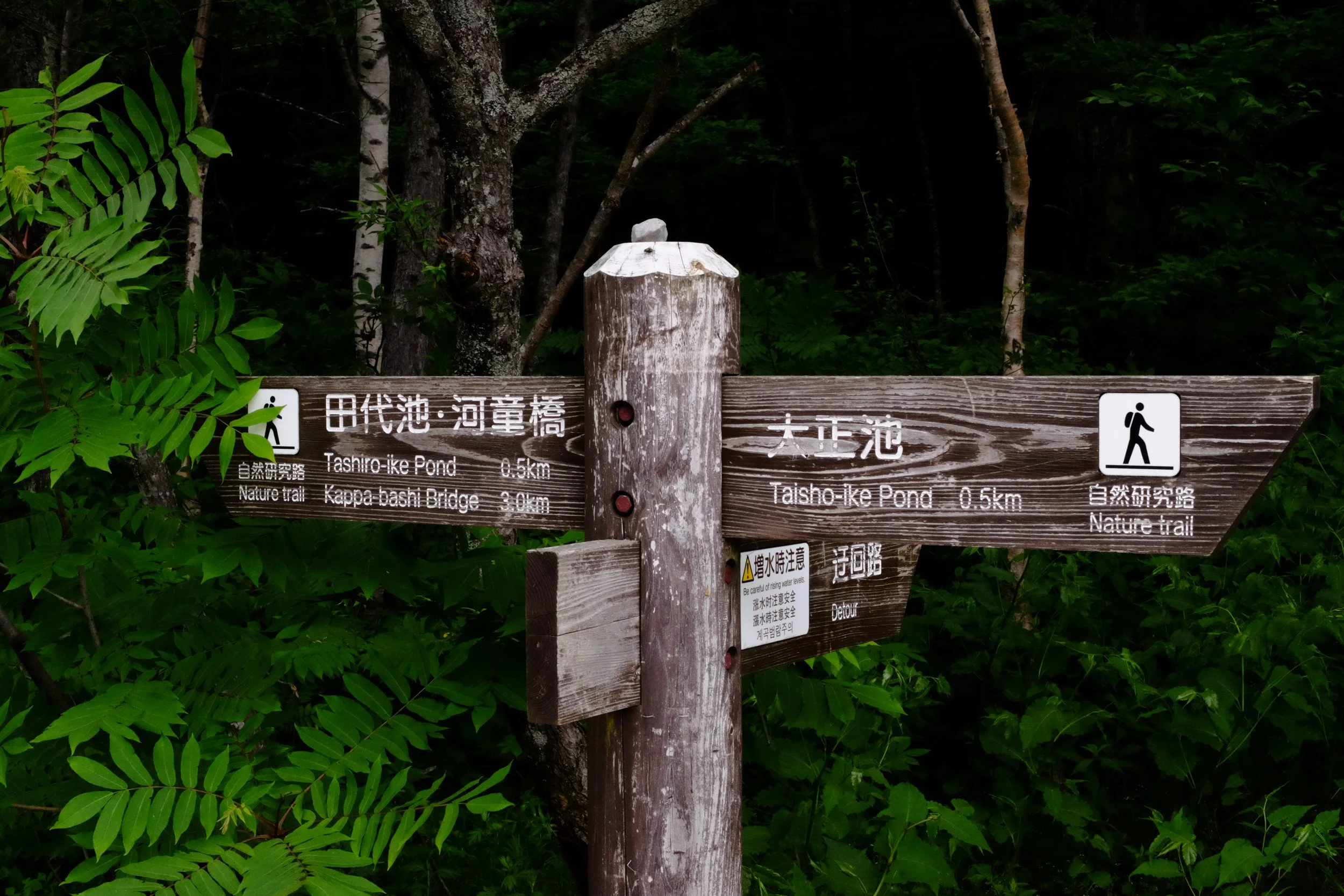 DSCF3811.JPG