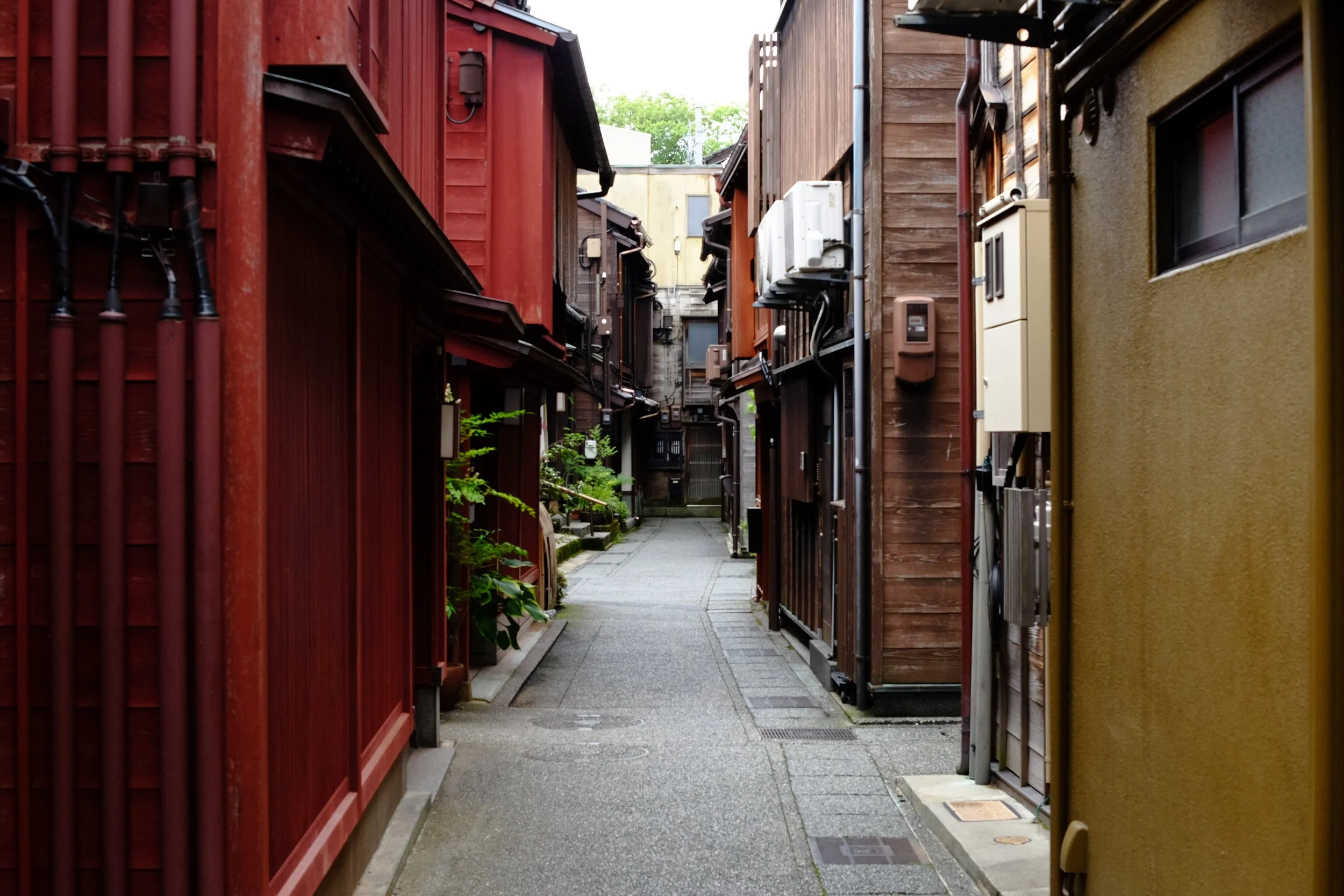 DSCF4017.JPG