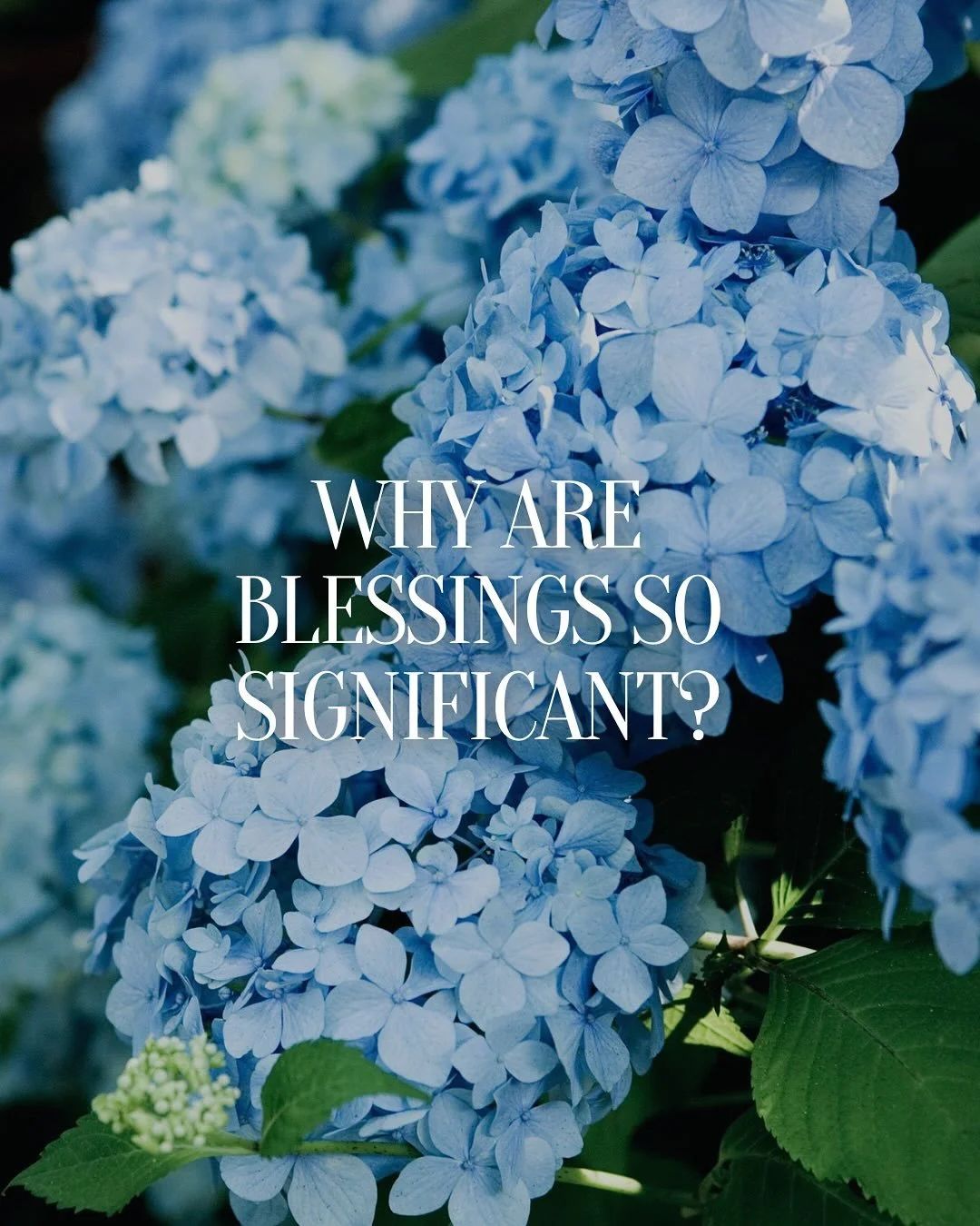Blessings are a powerful, divine force.
When we open our mouths and use our voices to speak blessings, we allow God’s power to bring change here on earth. Transformation can happen when we speak in faith.
Today, let us show gratitude and than