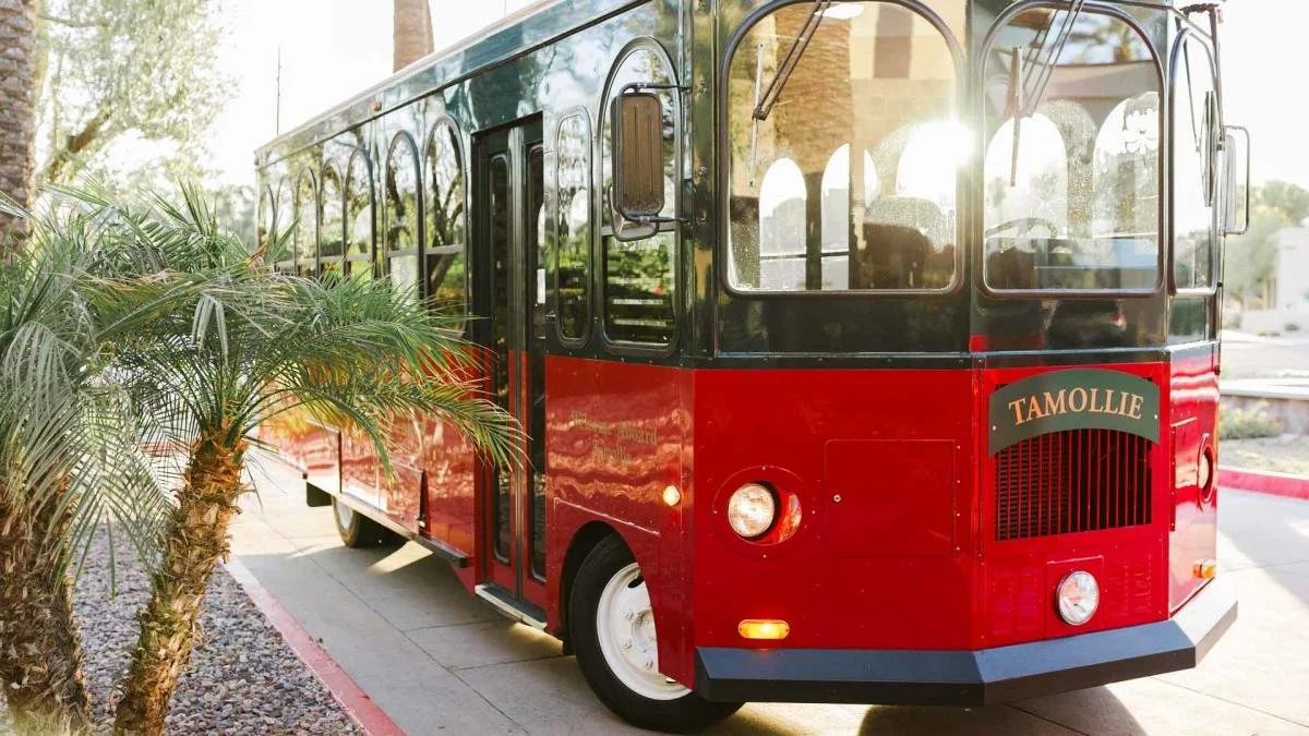 Red and black vintage trolley bus labeled Tamollie parked beside palm trees on a city sidewalk during daytime.