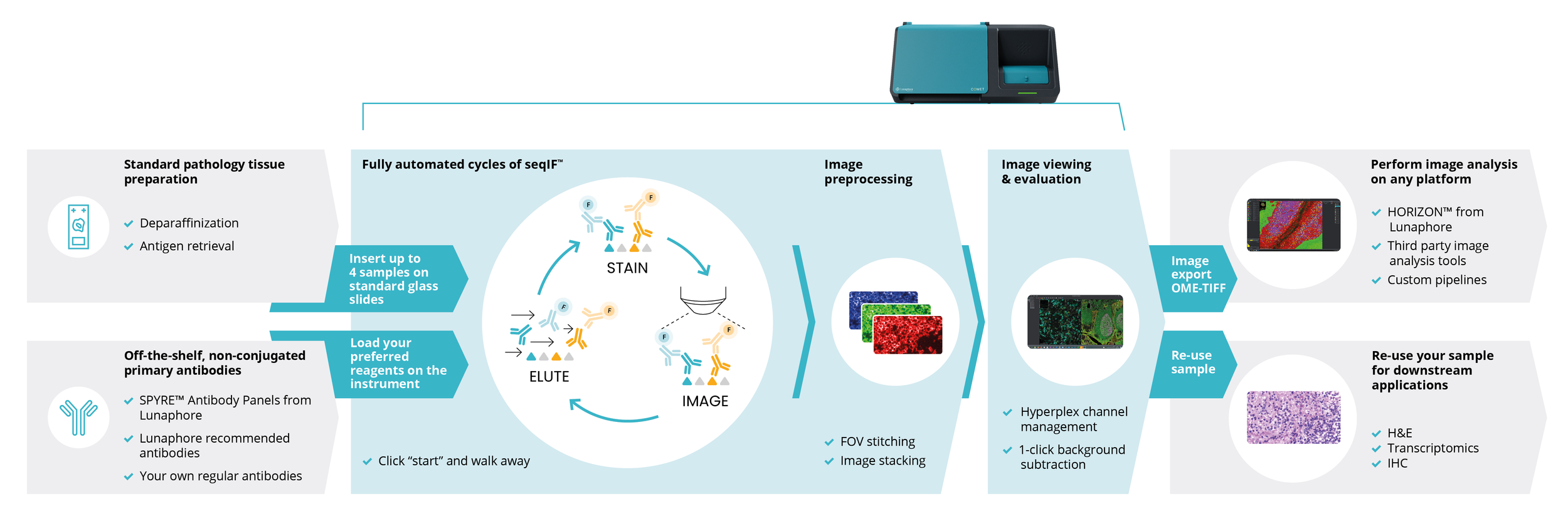 Flowchart of pathology tissue preparation and imaging process, including steps for antigen retrieval, antibody loading, automated sequencing, image preprocessing, and analysis, with examples of image export and downstream applications.
