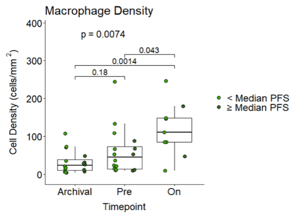 Box plot comparing macrophage cell density at three time points: Archival, Pre, and On, with scatter points indicating measurements above and below median PFS.