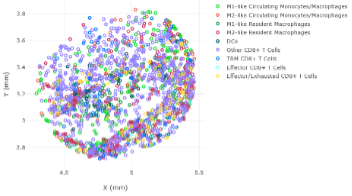 A scatter plot showing various types of immune cells, including circulating monocytes, macrophages, resident macrophages, T cells, and unclassified cells, distinguished by different colors. The plot has labeled axes for X and Y in millimeters.