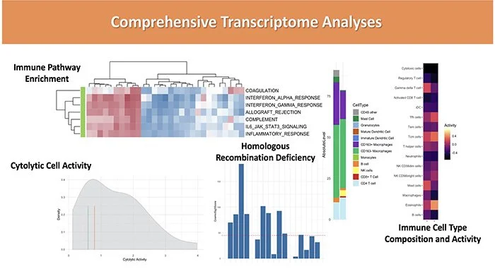 A scientific poster titled 'Comprehensive Transcriptome Analyses' featuring four sections: a heatmap of immune pathway enrichment, a color-coded diagram of immune cell types and activity levels, a bar chart of homologous recombination deficiency, and a line graph of cytolytic cell activity.