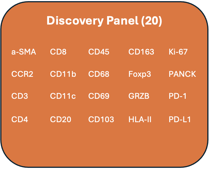 An orange discovery panel listing 20 items related to cellular biology, including markers like a-SMA, CD8, CD45, CD163, Ki-67, CCR2, CD11b, CD68, Foxp3, PANCK, CD3, CD11c, CD69, GRZB, PD-1, CD4, CD20, CD103, HLA-II, PD-L1.