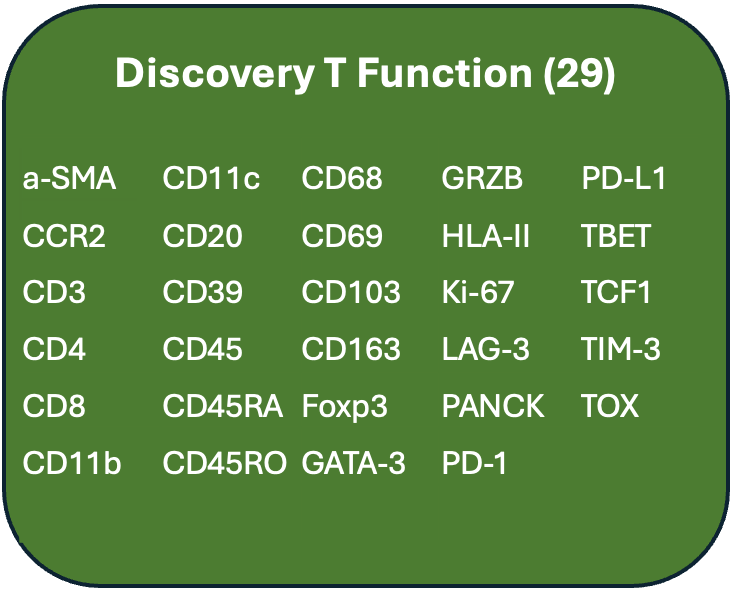 Green chart titled "Discovery T Function (29)" listing various cell markers and proteins such as CD11c, CD68, GRZB, PD-L1, with rows of other markers and proteins including CD3, CD4, CD8, and CD45.