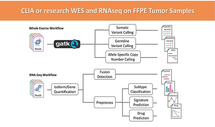 Flowchart comparing workflows for analyzing FFPE tumor samples using CLIA or research WES and RNA-Seq. It shows whole exome workflow starting with reads analyzed by GATK for somatic variant calling, germline variant calling, and allele-specific copy number calling. RNA-Seq workflow begins with reads analyzed by Isoform/Gene Quantification, followed by Fusion Detection and Preprocessing. Preprocessing leads to subtype classification, signature prediction, drug prediction, and further analyses.