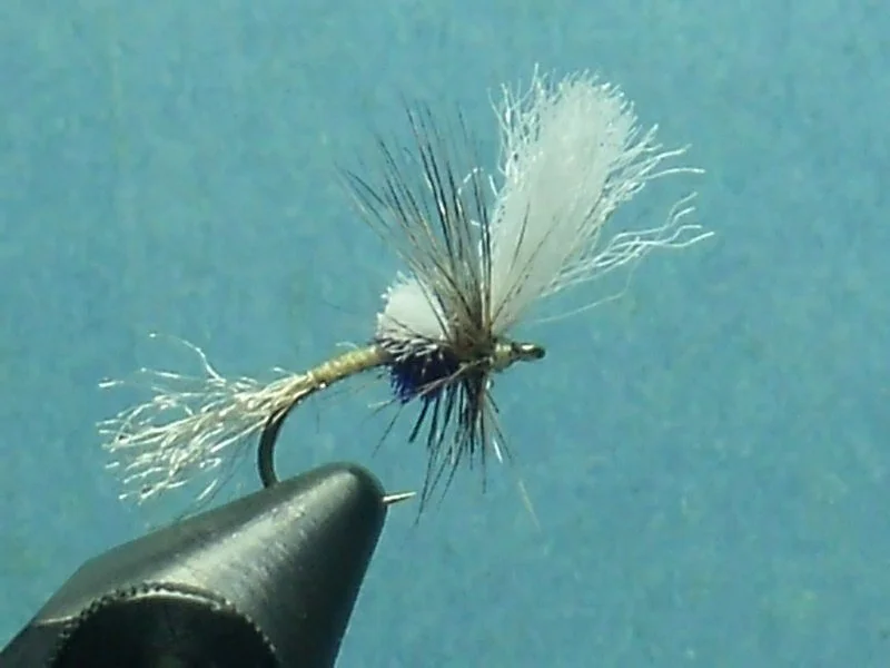 Madison River Cripple