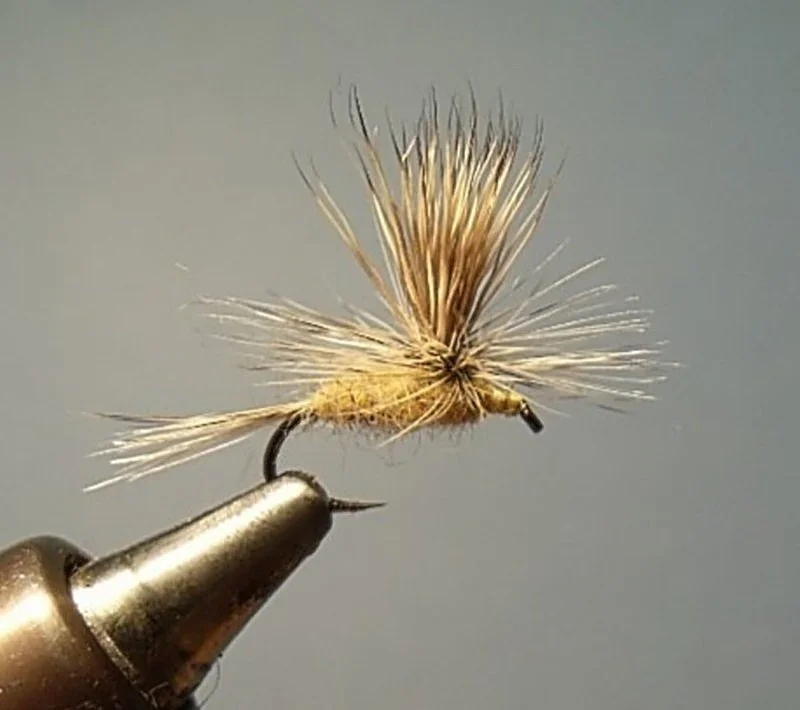 Close-up of a dry fly fishing lure with fluffy wings and a slender body, attached to a fishhook.