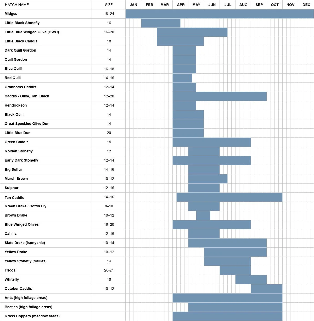 A detailed chart showing various bird species, their sizes, and their active months throughout the year with blue bars representing their activity periods.