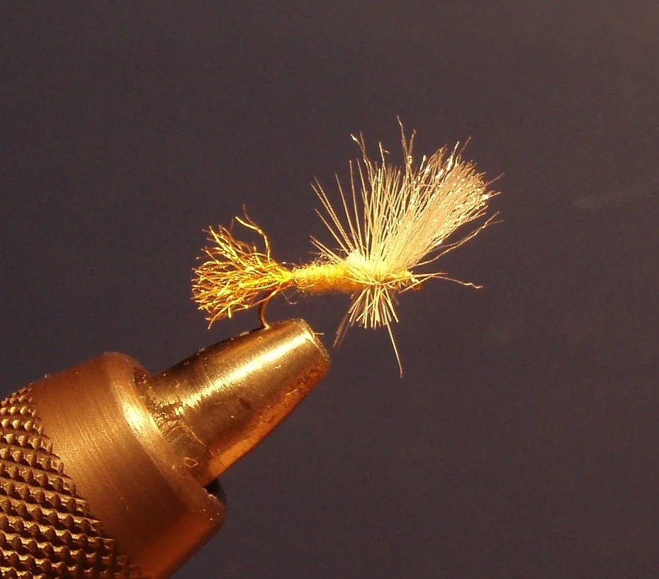 Close-up of a gold-colored fly fishing lure resembling a small insect with fuzzy body and feather-like tail, held in a vise.