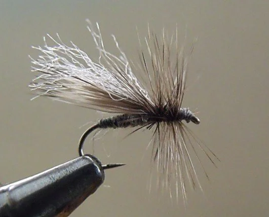 Close-up of a fishing fly, an artificial lure used in fly fishing, attached to a hook.