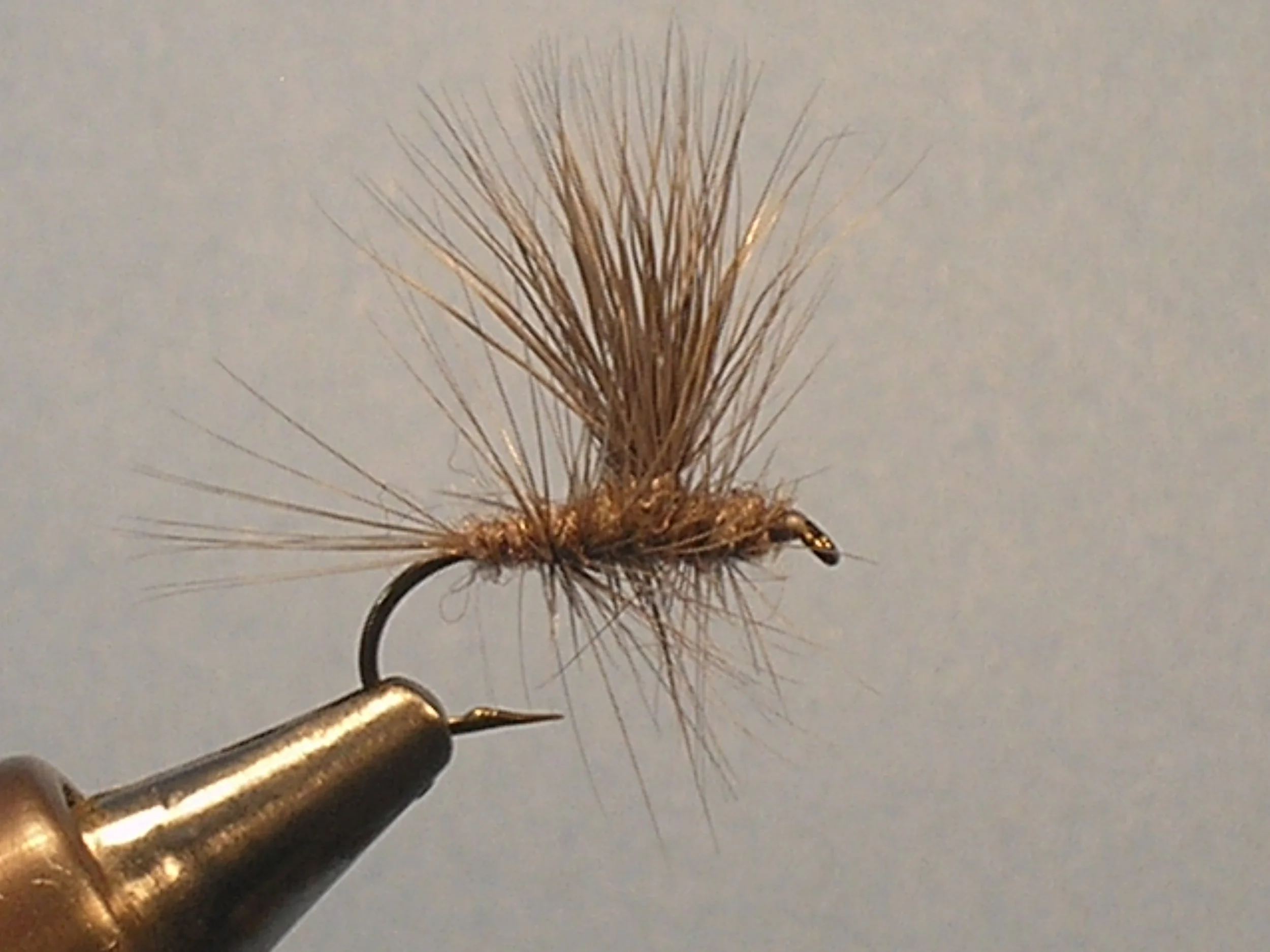 Close-up of a brown fishing fly with a curved hook, with a plain, light background.