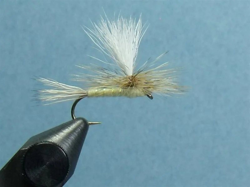 Close-up of a fishing fly used in fly fishing, held in a vise with a light blue background.