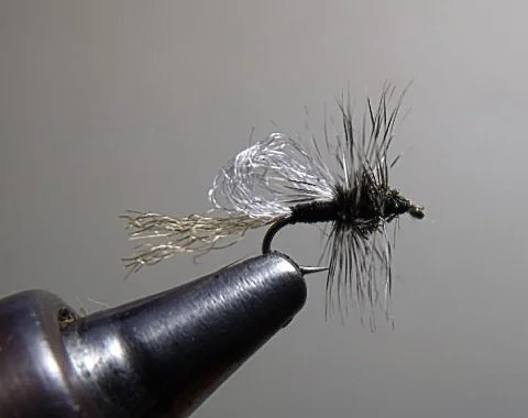 Close-up of a fishing fly tied to a hook, used as bait in fly fishing.