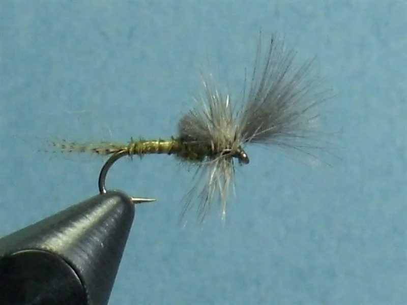 Close-up of a fishing fly, designed to resemble a small insect, mounted on a hook.