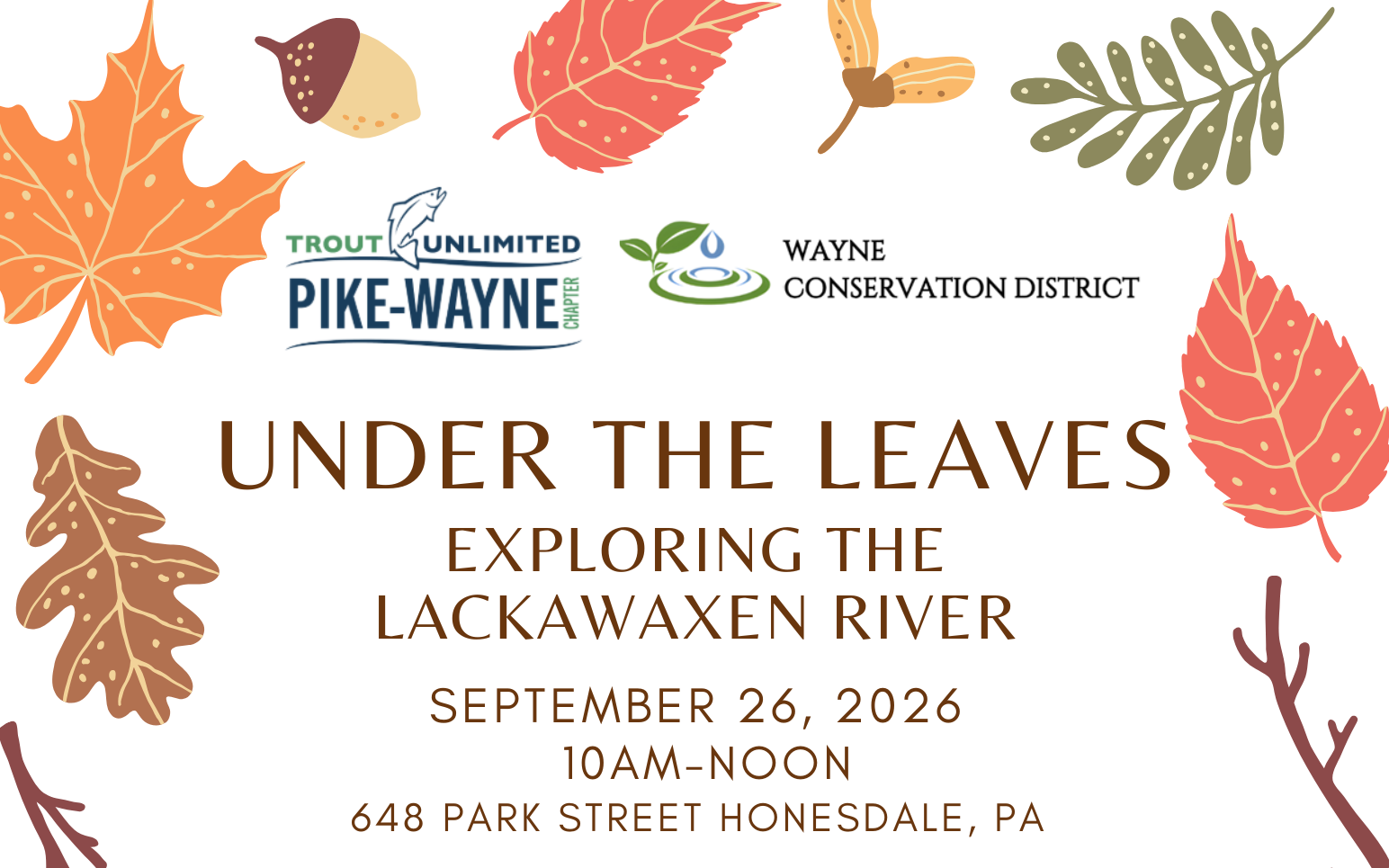 Under the Leaves - Exploring the Lackawaxen River