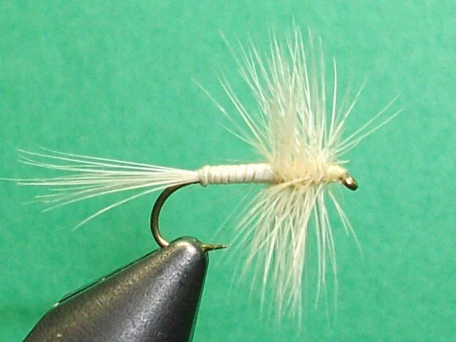 Close-up of a fishing fly with a curved hook, light-colored body, and fluffy white tail, held near a metallic object against a green background.