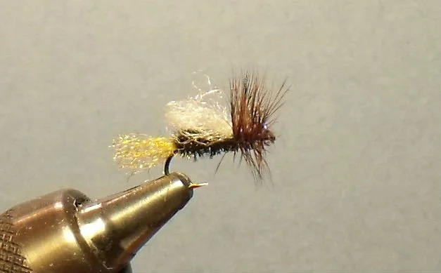 Close-up of an artificial fishing fly with a yellow body, white fuzzy section, and brown hackle, held in a fly-fishing vise.