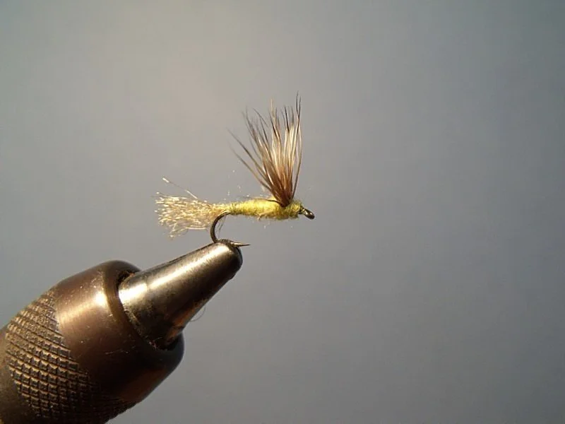 Close-up of a yellow artificial fishing fly held on a metal hook, set against a plain gray background.