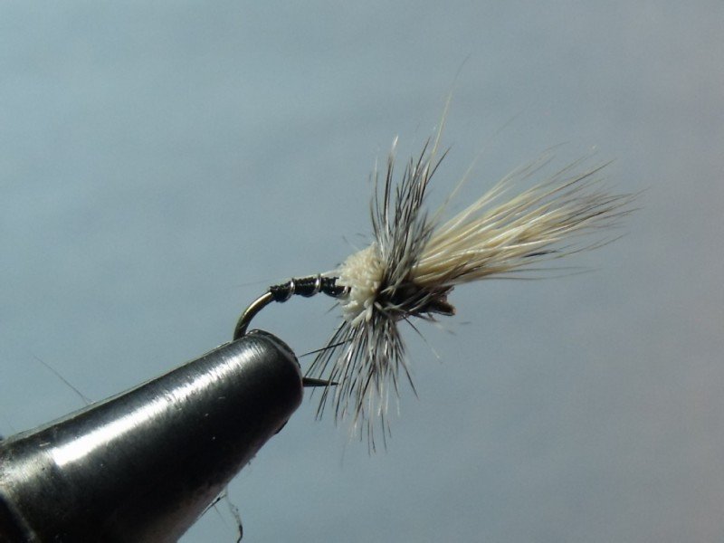 Close-up view of a fishing fly with a metal hook and feathered and fur decorations against a plain light blue background.