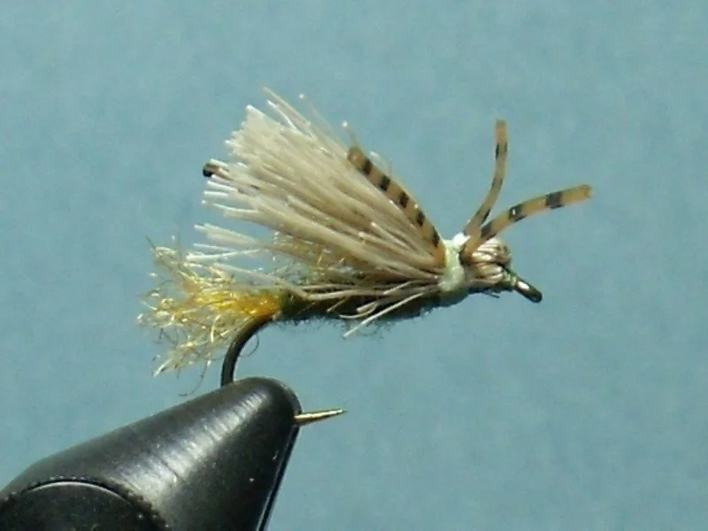 Butch Caddis