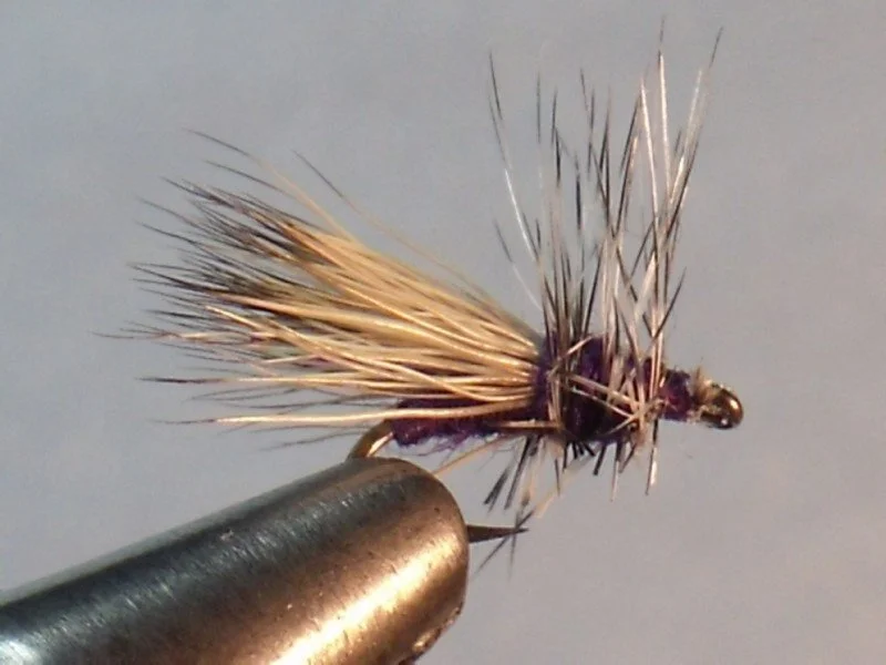 Close-up of a dry fishing fly with tan and black feathers held in a metal vise, set against a plain gray background.