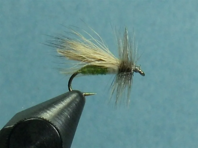 Two Tine Caddis