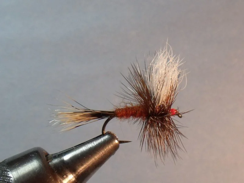 Close-up of a fishing fly with brown and white feathers, mounted on a metal hook.
