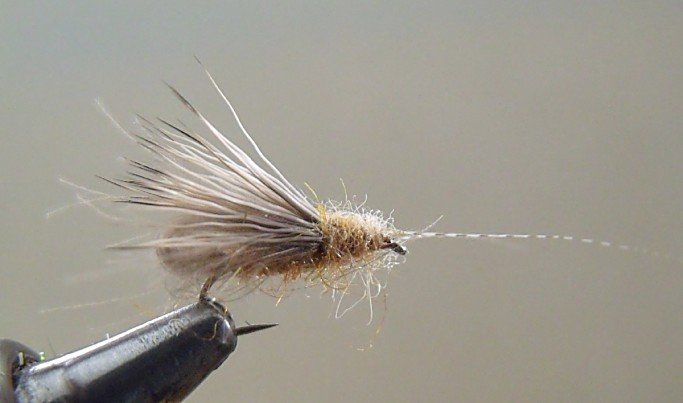 Close-up of a dry fishing fly tied to a fishing hook.
