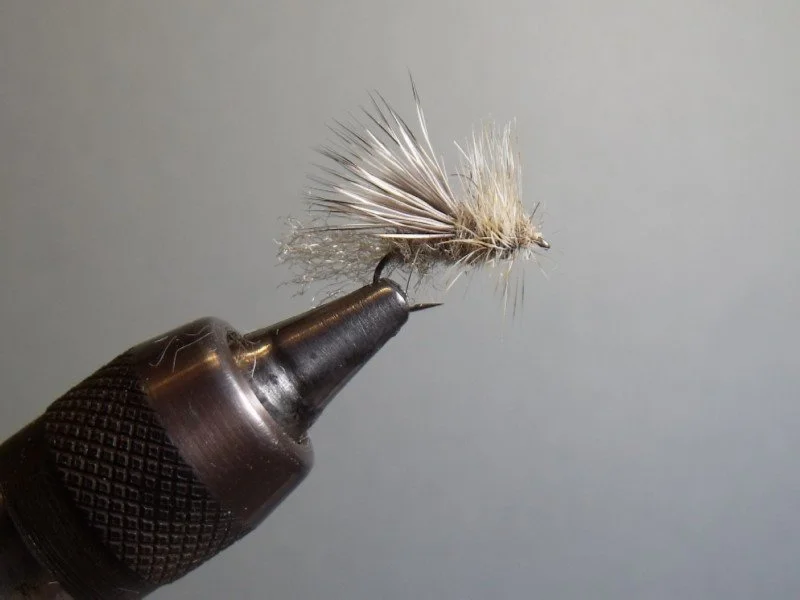 Close-up of a white fishing fly tied to a black vise, used for fly fishing.