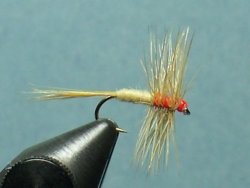 Close-up of a fishing fly with a red head, tan body, and hair-like wings, held in a fly fishing hook.