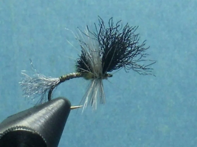 Baetis Black Wing Cripple