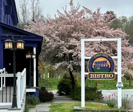 Sign for a bistro in front of a blooming pink cherry blossom tree, with a blue building and black street lamp nearby.