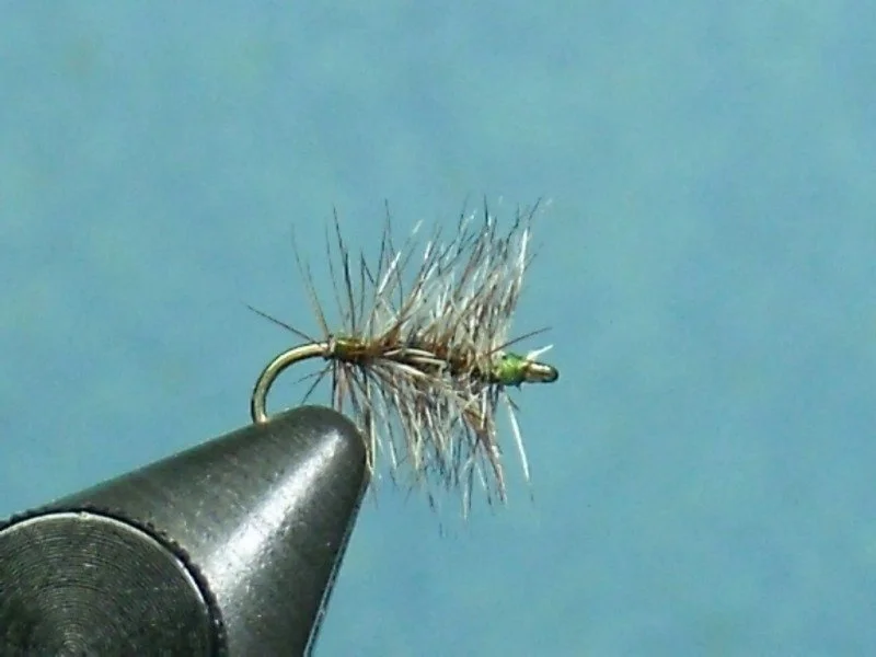 Close-up of a fishing fly with a metallic hook and feathered body, held in the tip of a black tool against a blue background.