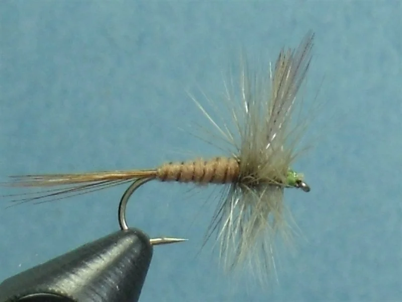Close-up of a fishing fly with brown and gray feathers, tied to a metal hook.