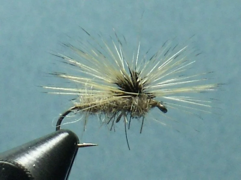 Close-up of a fishing fly with tan body and radiating synthetic fibers or feathers, attached to a fishing hook.