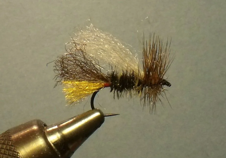 Close-up of a fishing fly with a hook, fuzzy body, and feathered wings, held in a vice.