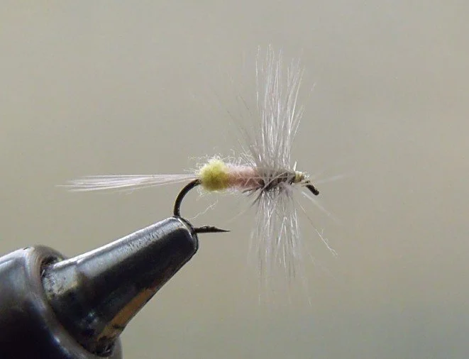 Close-up of a fishing fly tied to a hook, used in fly fishing