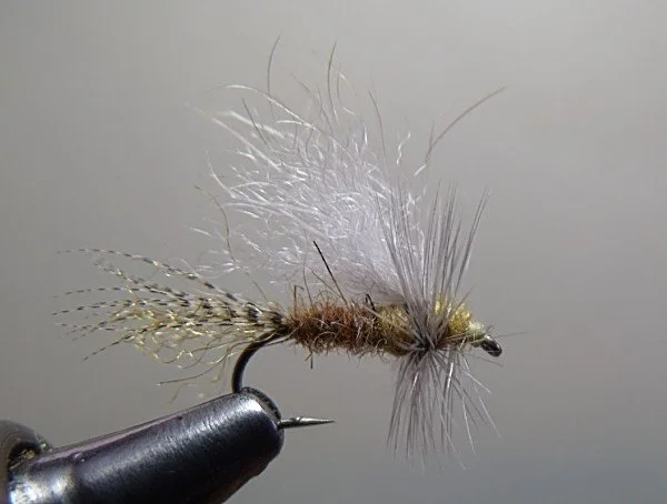 Close-up of a fishing fly with feathers and synthetic hair, mounted on a fishing hook.