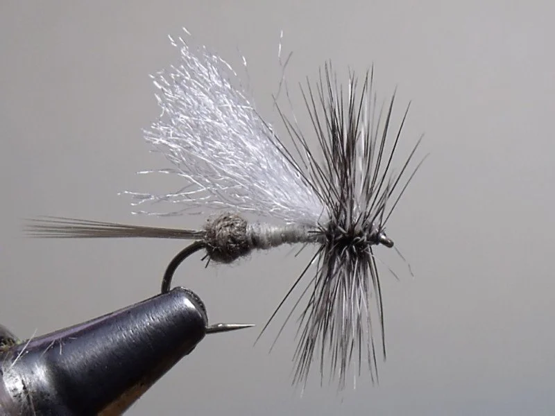 Close-up of a fishing fly used as bait, with feathers and thread, held in a vise.